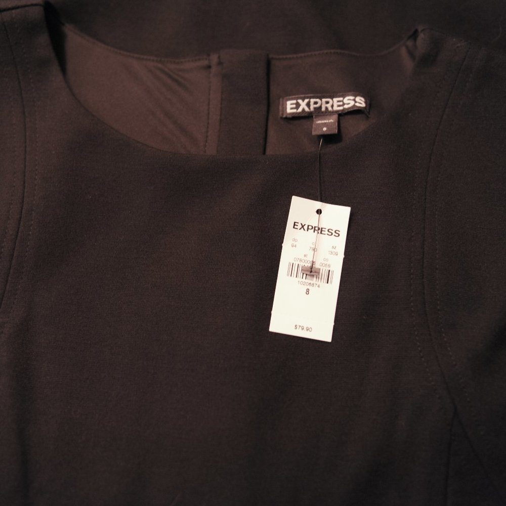 Express Dress - Picture 3 of 3